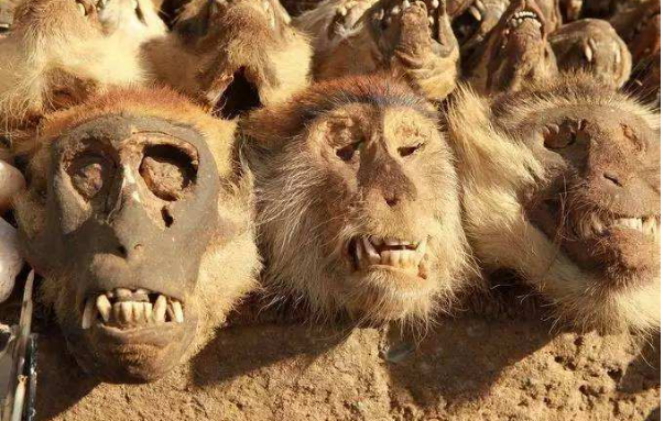 世界十大恐怖圣地 世界十大大毛骨悚然之地