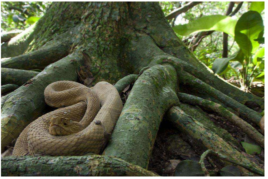 世界十大恐怖圣地 世界十大大毛骨悚然之地