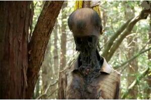 日本最恐怖的地方排名 富士山自杀森林尸体比树还多