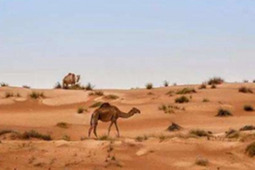 世界十大最大半岛，阿拉伯第一面积322万km²